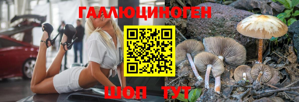 Галлюциногенные грибы прущие грибы  Галлюциногенные грибы Magic Shrooms  Михайловка  Вход с VPN 
