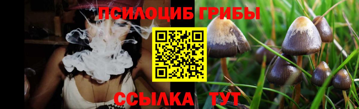 Галлюциногенные грибы GOLDEN TEACHER Михайловка
